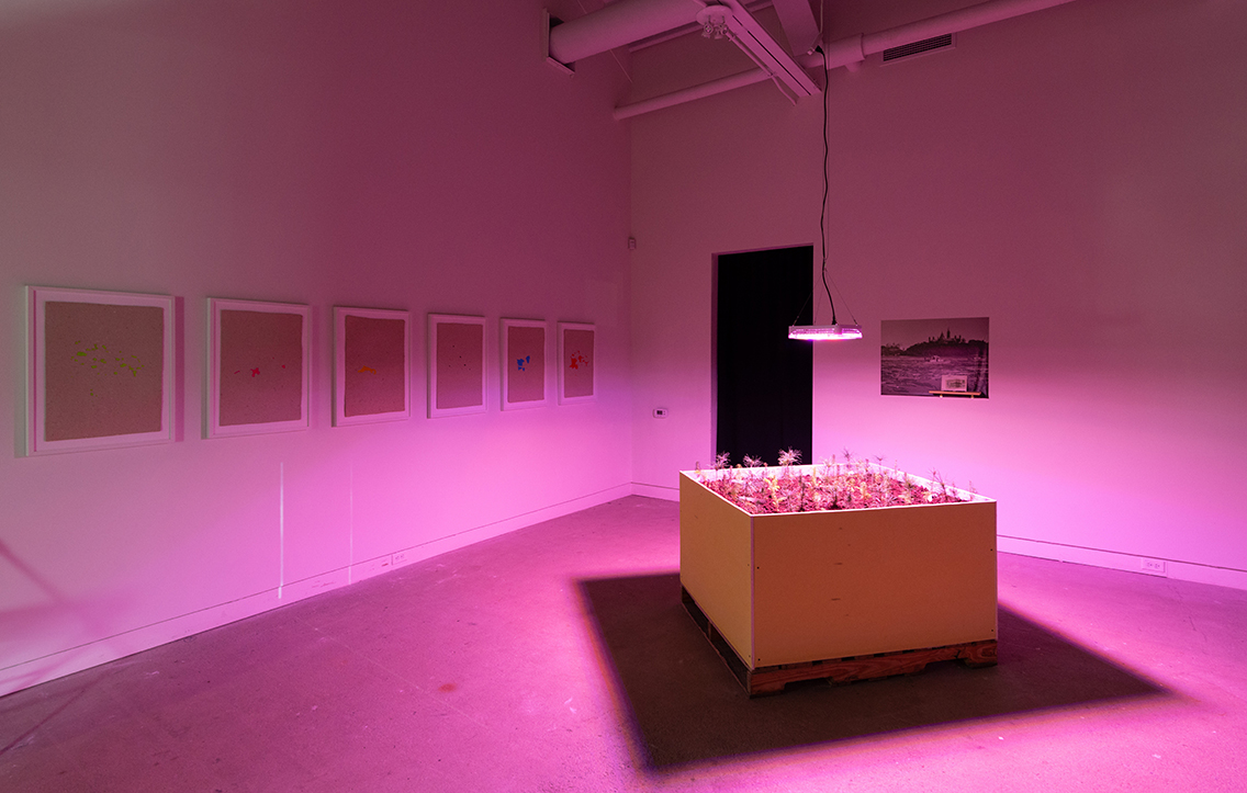 Photo of exhibit at Tett Centre location showcasing "A Vast Metabolism" exhibit in pink lighting.